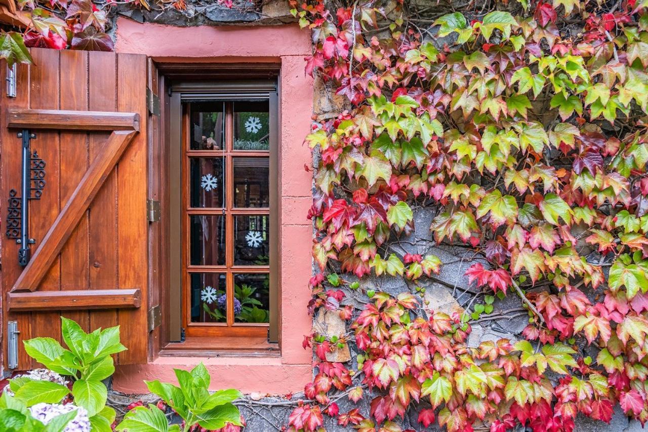 Villa Achada Da Mouca By Madeira Sun Travel Santana  Exterior photo